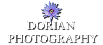 Dorian Photography